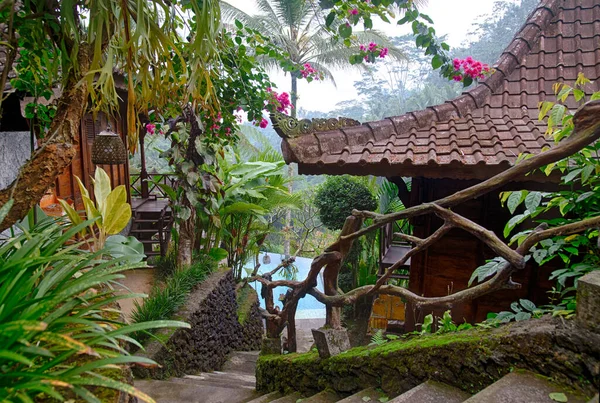 楼梯从森林别墅的旧热带阳台一直延伸到游泳池 清澈清澈的水 泰加隆 — 图库照片