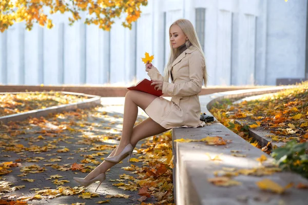 Женщины Идеальными Ногами Сидят Скамейке Читают Красную Книгу Осеннем Парке — стоковое фото