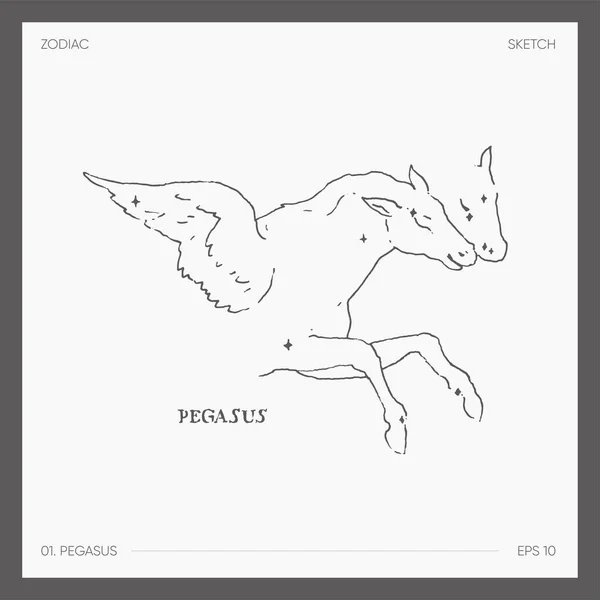 Ilustração Zodíaco Astrológico Pegasus Ilustração Vetorial — Vetor de Stock