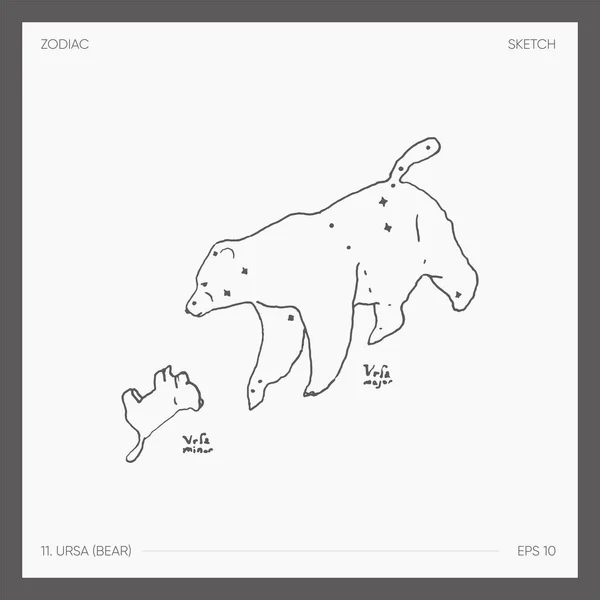 Εικονογράφηση Του Αστρολογικού Ζωδιακού Κύκλου Ursa Bear Εικονογράφηση Διανύσματος — Διανυσματικό Αρχείο