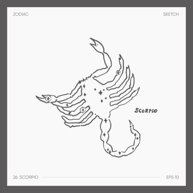 Illustration of astrological zodiac Scorpio. Vector illustration