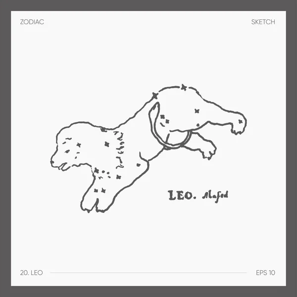 Ilustração Zodíaco Astrológico Leo Ilustração Vetorial —  Vetores de Stock
