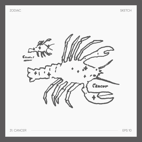 Illustration Astrological Zodiac Cancer Vector Illustration — Stok Vektör