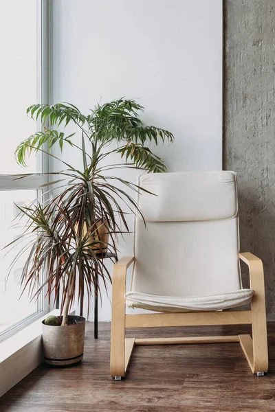 Interior Modern Dengan Kursi Putih Dan Tanaman — Stok Foto