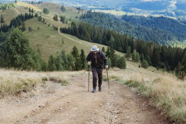 Sırt çantası ve yürüyüş sopalarıyla dağlarda yürüyen yürüyüşçü genç adam.