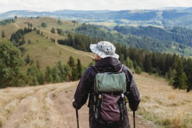 Sırt çantası ve yürüyüş direkleri ile dağlarda yürüyen dağcı genç adamın arka görüntüsü