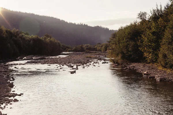 Berg Rivier Die Stroomt Door Bomen — Stockfoto