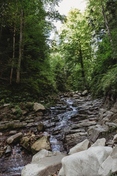 Hegyi Folyó Átfolyik Fák — Stock Fotó