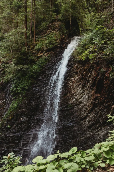 Cachoeira Paisagem Montanhosa Cárpatos Ucrânia — Fotografia de Stock