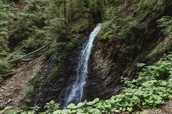 Cachoeira Paisagem Montanhosa Cárpatos Ucrânia — Fotografia de Stock