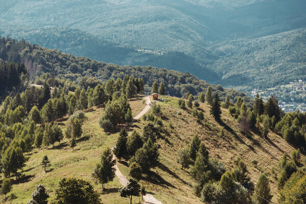 Picturesque Landscape Path Carpathians Ukraine Stock Image