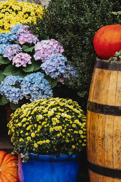 Dekorasi Musim Gugur Dengan Labu Dan Bunga Toko Bunga Jalan — Stok Foto