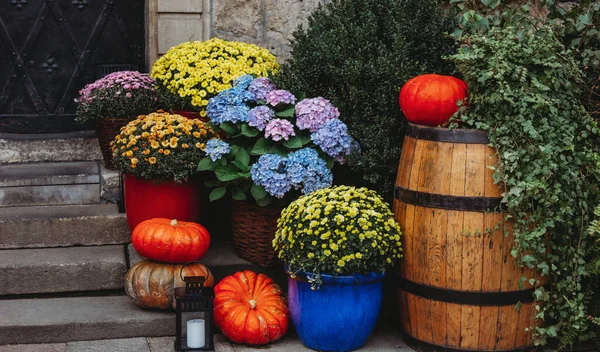 Dekorasi Musim Gugur Dengan Labu Dan Bunga Toko Bunga Jalan — Stok Foto