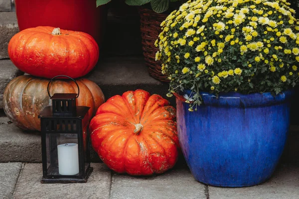 Herbstdekoration Mit Kürbissen Und Blumen Blumenladen Einer Straße Einer Europäischen — Stockfoto