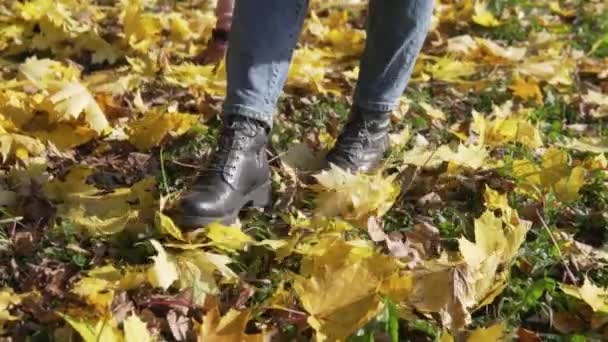 Frauen- und Kinderfüße spazieren auf den herbstgelben Blättern im Park, — Stockvideo