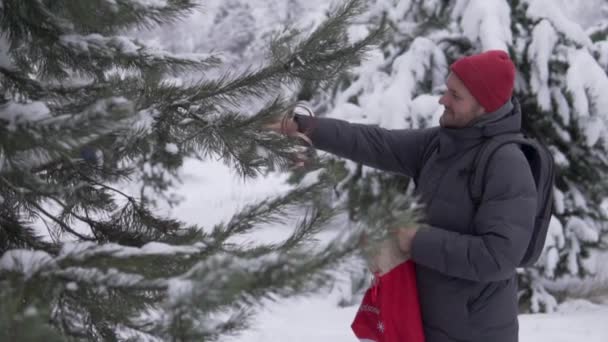 Przystojny mężczyzna dekoruje choinkę zabawkami w lesie zimą przed Bożym Narodzeniem — Wideo stockowe