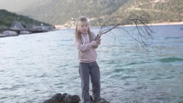 A little girl walks along the beach in a large dry tree branch — Stock Video