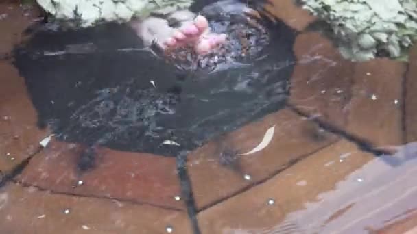 Pies de mujer en una tina de agua en el complejo de baño — Vídeos de Stock