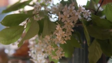 Gece vakti kiraz çiçekli bir vazo Işıklı bir masanın üzerinde.