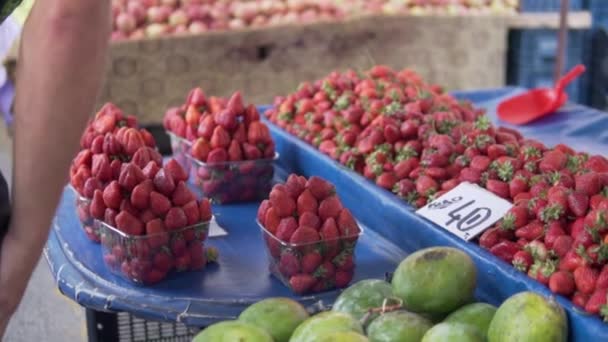 Hombre Compra Fresas Mercado Callejero Turquía Primer Plano — Vídeos de Stock