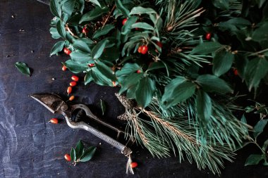 a closeup shot of a bunch of fresh green leaves and red fruits on a dark background