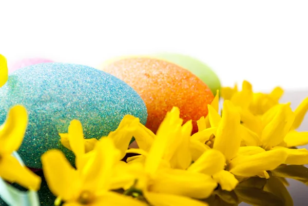 Easter egg and laburnum — Stock Photo, Image
