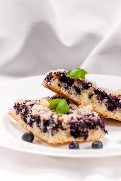 Blueberry pie — Stock Photo, Image