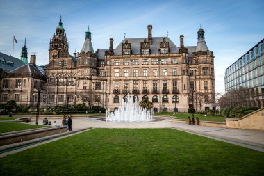 Sheffield Belediye çimen