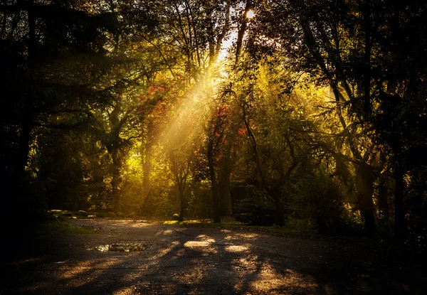 Zonnestralen beam — Stockfoto