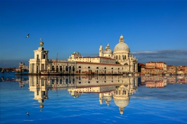 Santa maria della salute - Venedik İtalya