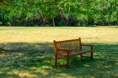 Yeşil doğanın karşısındaki parkta boş ahşap bir bank. Yalnızlık, meditasyon, rahatlama konsepti.