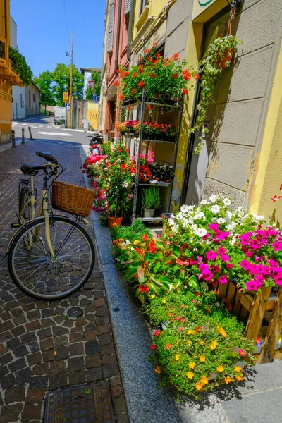 bicycle with basket in the street near the flowers shop. European streets. Parma, Italy, Travel, vertical,
