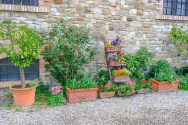 Çiçekli, bitkili seramik kahverengi tencereler, antik tuğla duvarın karşısındaki ağaçlar. Bahçe sezonu 