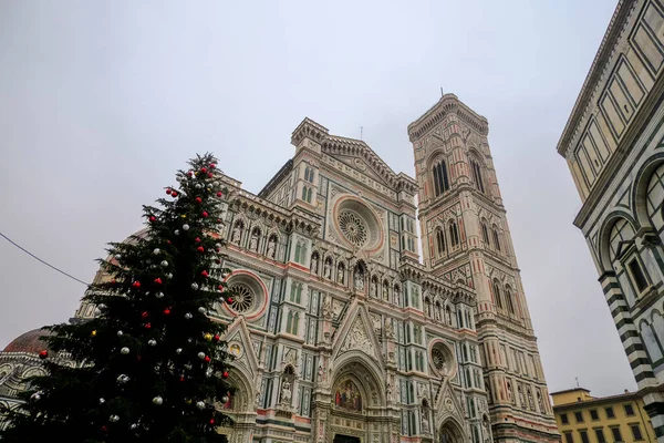 Florence Italy Christmas Tree Square Piazza Duomo Duomo Santa Maria — Stock Photo, Image