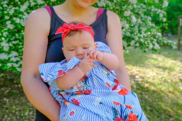 Mama Hält Ihr Kleines Mädchen Den Händen Über Die Blühenden — Stockfoto