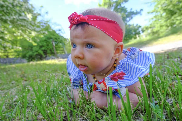 baby girl with red bow on head and in blue-striped dress in green grass close-up. Parenting.