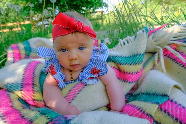 baby girl with red bow on head and in blue-striped dress in green grass close-up crawling on checkered blanket. Parenting.