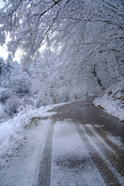 Curvy snow-covered road in winter across the winter forest. Dangerous driving season. Transport insurance. Vertical