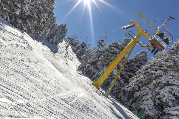 Inverno Fotos De Bancos De Imagens