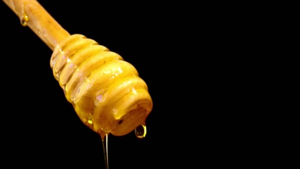 Med nalévá z Honey Dipper. Med nalévá z Honey Dipper. Tento klip ukazuje med kapající na dřevěné medové dipper.