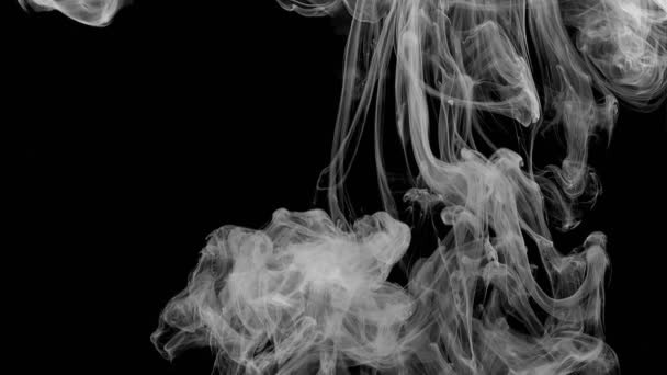 インク 煙の背景 黒い背景で煙 クリップ実際にインクスプラッシュと黒と白になって — ストック動画
