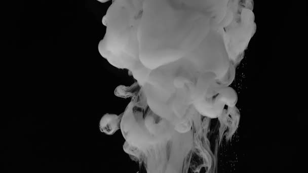 Encre Fond Fumée Fumée Sur Fond Noir Clip Effectivement Éclaboussure — Video