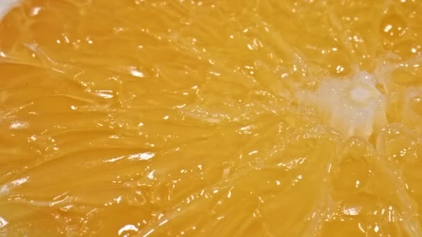 Oranje Citrusvruchten Roteert Close Geïsoleerd Wit — Stockvideo