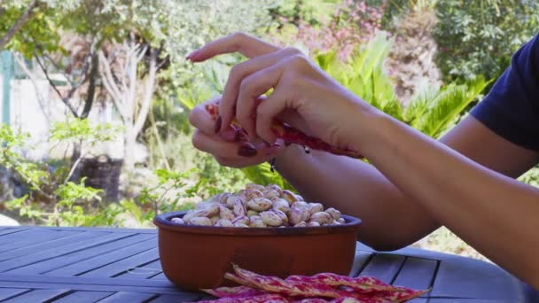 Kobieta Sortująca Fasolę Ręce Kobiety Sortowanie Fasoli Nerki Ogrodzie — Wideo stockowe