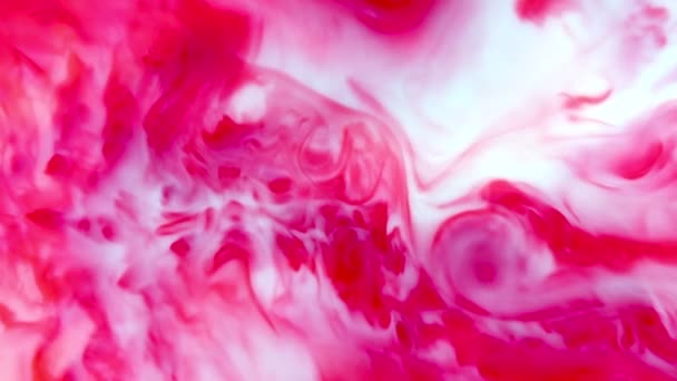 Kolorowe Tło Atramentu Abstrakcyjny Kolorowy Farba Atrament Płynny Wybuch Dyfuzja — Wideo stockowe
