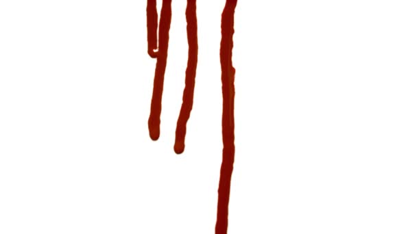 血滴是一个精美的库存视频 由白色背景的血滴镜头组成 — 图库视频影像