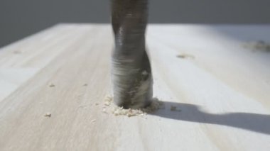 Ormana delik açmak. Bu video ahşap bir tahtada delik açmak için kullanılan bir güç aracı gösteriyor.