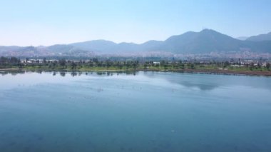 Flamingolar gölün üzerinde uçuyor. Bu stok videosu suyun üzerinde uçan flamingoların hava görüntülerini gösteriyor. Video, bir göl üzerinde uçan flamingo sürüsünü gösteriyor..