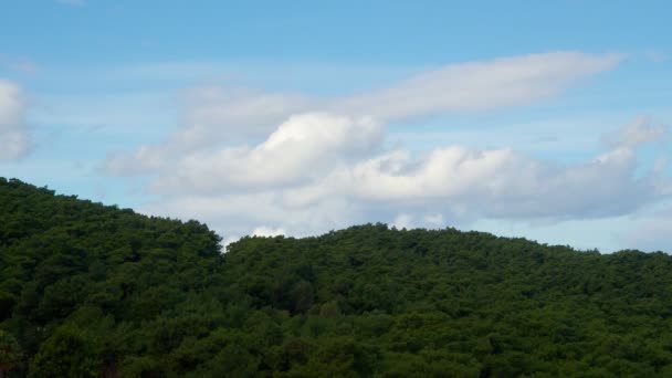 Forest Clouds Time Lapse Timelapse Video White Cumulus Clouds Towering — Wideo stockowe