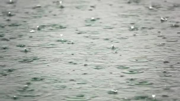 Rain Drops Sea Surface Stock Video Features Close Slow Motion — Vídeo de Stock